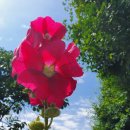 화순 우체국 앞 이미지