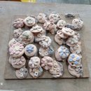 동심예능유치원 이미지