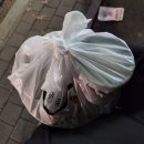 국민낙곱새 장안점 | [수원 장안구] 수원 낙곱새 배달 맛집 '국민낙곱새 장안구점'에서 밀키트 포장한 후기