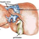 신출한의원 이미지
