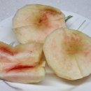 영락농원 이미지