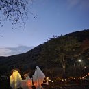 운종화장실 | ​🥇 용인자연휴양림 데크 예약 성공 공식! 숲나들e 이용 방법부터 꿀팁까지 A to Z