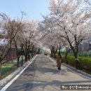 세계속에 한국을 심는 한국관광고등학교 이미지