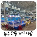 농수산물시장_동 | 수원 농수산물시장 대하 새우 포장 후기 꽃게, 대게 할인행사 추석 할인 행사 온누리상품권 환급 행사 등
