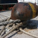 어항단지로 이미지