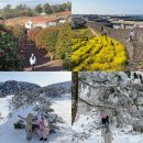 서호동-53 | 1월 2월 제주도 여행 코스 눈올때 제주 1100고지 한라산 윗세오름 포함 5곳