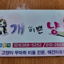 개 이쁜 애견미용샵 이미지