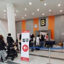 기프트 펫 | 2025 광주 케이펫페어 후기 김대중컨벤션센터