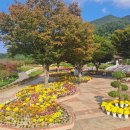 거창사건 추모공원 | 거창의동마을 은행단풍 거창사건추모공원 국화 관람회