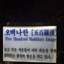 천곡황금박쥐동굴 이미지