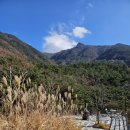 풀빌라 봉스테이 이미지