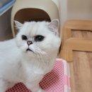 마로동물병원 이미지