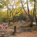 동천3호 Daum카페
