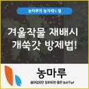 겨울작물 재배시 개쑥갓 방제법!