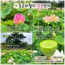태자한우 | 경주 동궁과월지 연꽃단지, 주간 야간 모두 무료입장 가볼만한곳