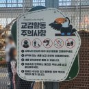 정원설악IC주유소 | 가평 아이와 가볼만한 곳 가족여행추천 베고니아새정원