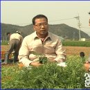 해도지영농조합법인 이미지