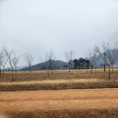 자전거, 킥보드 타기 좋은 황산공원 피크닉존🏕️ / 미니기차🚂
