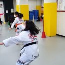 경희대 정 태권도 이미지