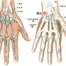 [陽谷穴][양곡혈] 이미지