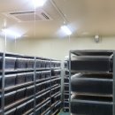 광의농장 이미지