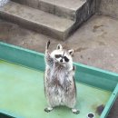 화이팅PC 이미지