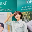 포레스트(forest) 이미지