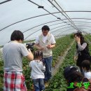 만점농원 이미지