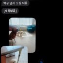 에바 가위컷 전문점 이미지