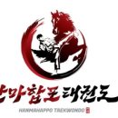 한마합포태권도 네이버블로그