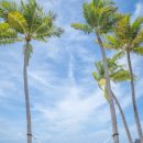 몰디브 여행 : 몰디브 리조트 럭셔리 추천 St.Regis Maldives