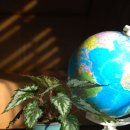 그린농장(GREEN) 이미지