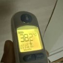 순수 체액으로 3일만에 3kg 빠진 일기