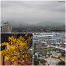 구름뜰농장 이미지