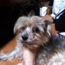 석관동8 이미지