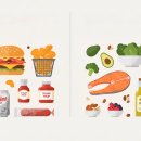 (주)키토라이프 | 키토 다이어트, 아직도 버터만 드세요? 2025년 최신 '클린 키토' A to Z 가이드