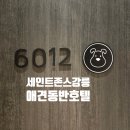 경포유치원 | 강원도 애견동반 강릉세인트존스호텔 펫룸 빠른체크인 후기 내돈내산