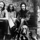 JIMI company