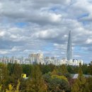 자윤한의원잠실점 | 임신 31 - 36주차 일상기록