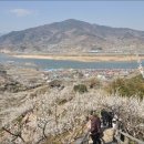 청매실농원 네이버블로그