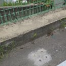 주차장표지판 이미지