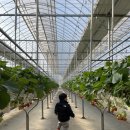 현호농장 이미지