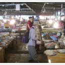 제주풍경스케치 이미지