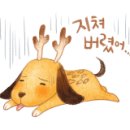 홈플러스(주)방학점 이미지
