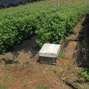 박동호농장 이미지