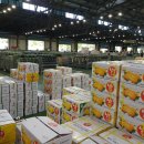 호남청과 이미지