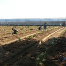 경상농장 이미지