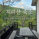숲속맑은꼴
