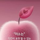 소소한이야기 이미지