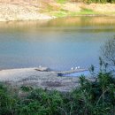 매화랜드 이미지